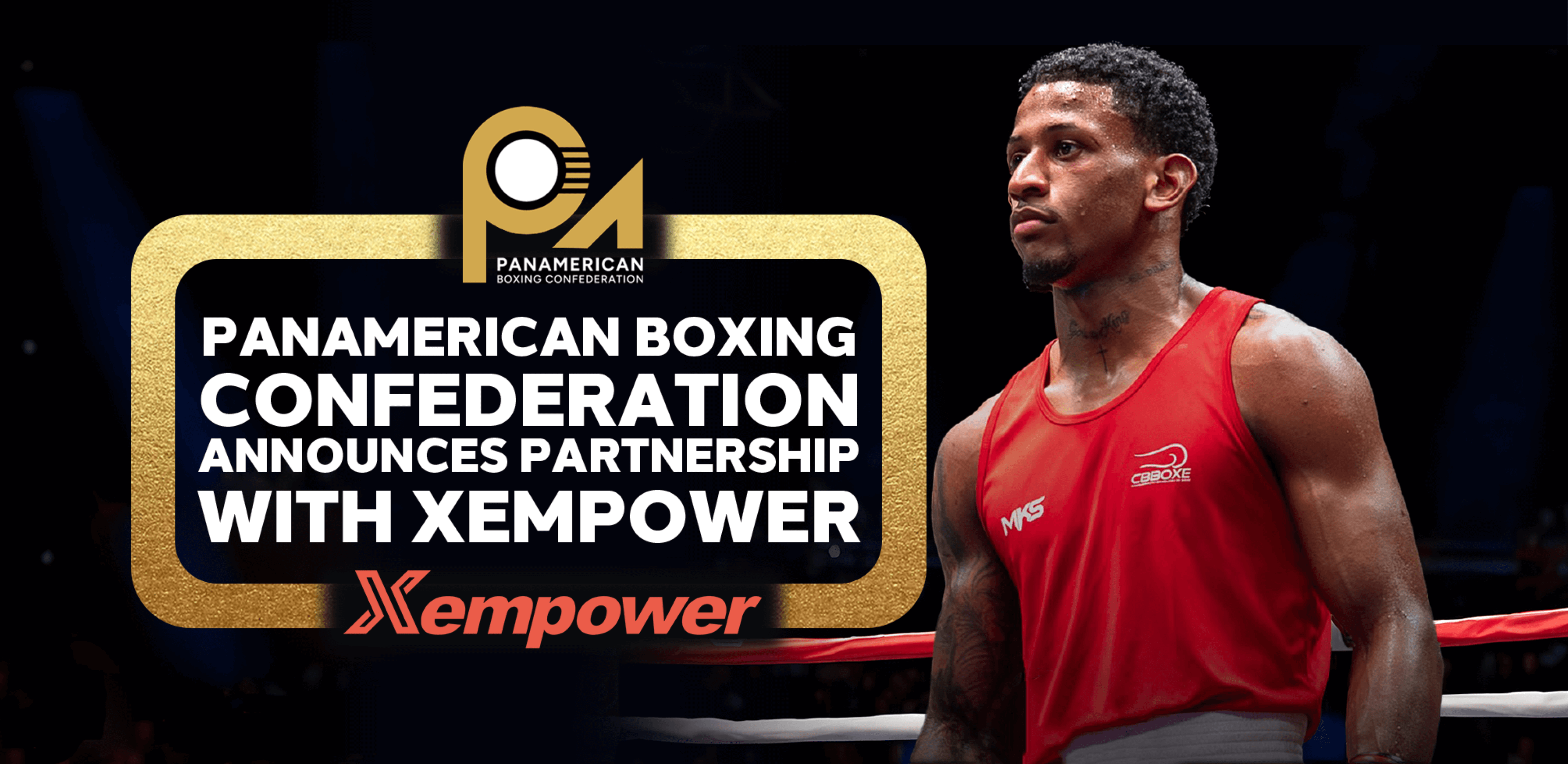 Xempower AI boxing solutions