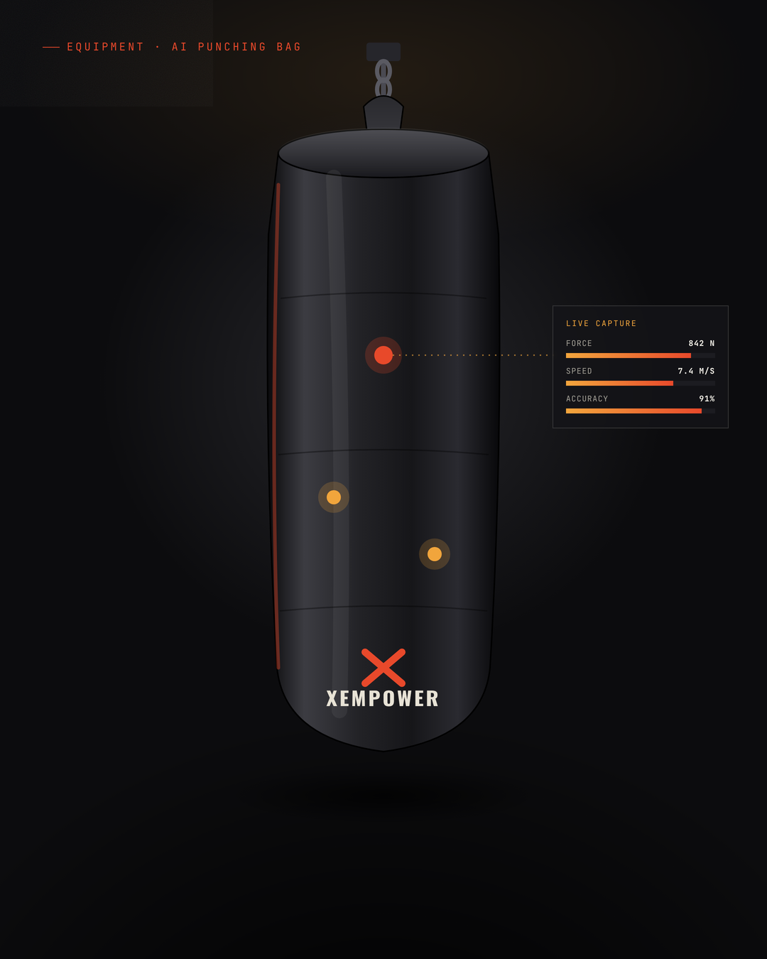 AI-Powered Punching Bag
